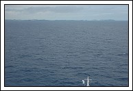 Bermuda on the horizon, as we wait for the pilot boat, just a speck in the distance.