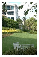 Some scenes along Front Street farther up from the cruise terminal.