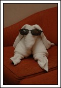 Everyone loves the towel animals!